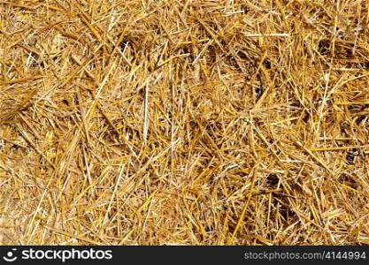 cereal straw just after harvesting texture