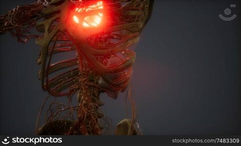 CG Animation Of A Sick Human Heart