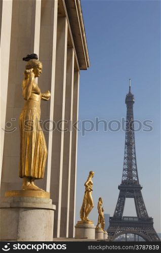 Chaillot palace and Eiffel tower, Paris, Ile-de-france, France