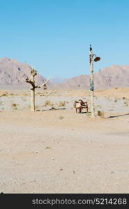 chair in iran blur old dead tree in the empty desert of persia lamp oil on branch