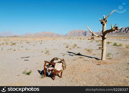 chair in iran blur old dead tree in the empty desert of persia lamp oil on branch