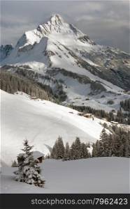 Chalets near the village of Warth-Schrocken, and Mount Biberkopf, Warth am Alberg,Vorarlberg, Austria