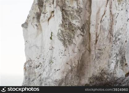 Chalk cliff at moens klint. Detail of a chalk cliff at moens klint in Denmark