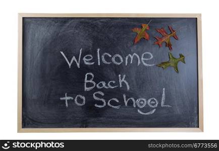 Chalkboard with text stating welcome back to school with autumn leaves. Isolated on white background.