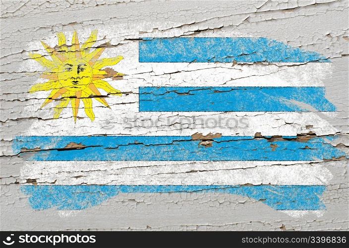 Chalky uruguay flag painted with color chalk on grunge wooden texture