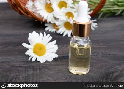 Chamomile essential oil in a glass bottle with a pipette stands on wooden boards near a basket with daisy flowers.. Chamomile essential oil in a glass bottle stands on wooden boards near the basket with chamomile flowers.