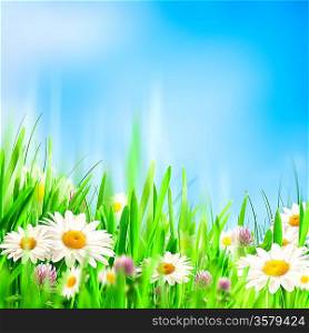 Chamomile symphony. Abstract natural backgrounds for your design