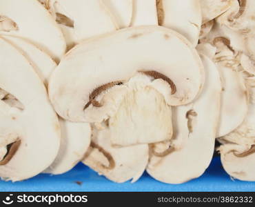 Champignon mushroom. Agaricus bisporus aka champignons mushrooms