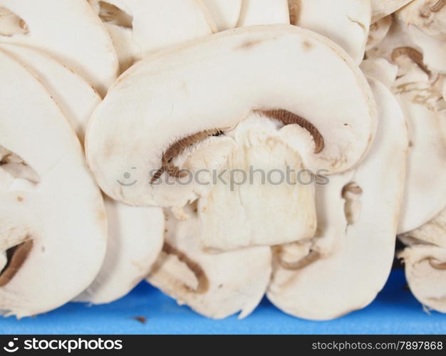 Champignon mushroom. Agaricus bisporus aka champignons mushrooms