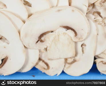 Champignon mushroom. Agaricus bisporus aka champignons mushrooms