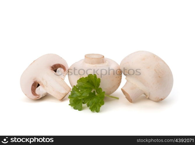 Champignon mushroom and fresh parsley isolated on white background