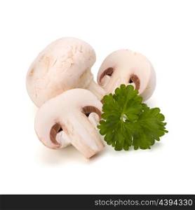 Champignon mushroom and fresh parsley isolated on white background