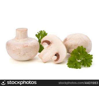 Champignon mushroom and fresh parsley isolated on white background