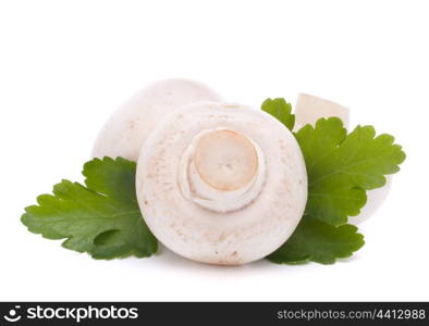 Champignon mushroom and parsley leaves isolated on white background