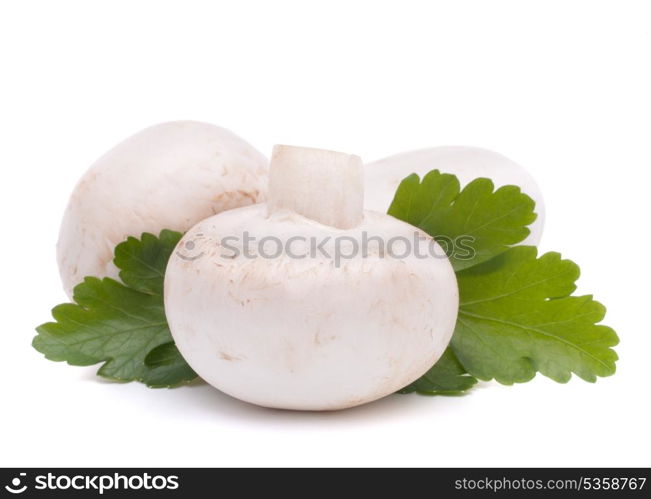 Champignon mushroom and parsley leaves isolated on white background