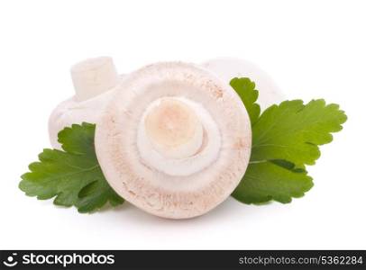 Champignon mushroom and parsley leaves isolated on white background