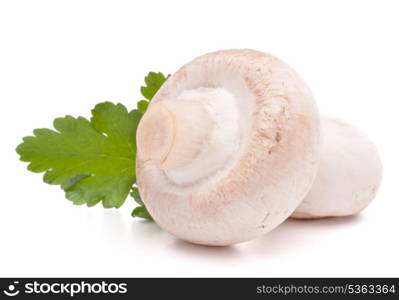 Champignon mushroom and parsley leaves isolated on white background