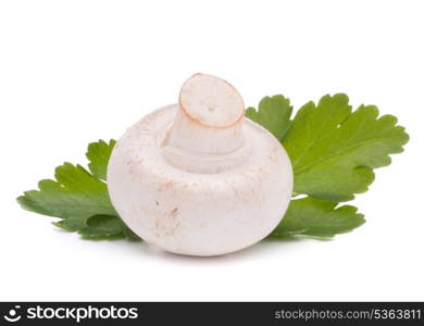 Champignon mushroom and parsley leaves isolated on white background