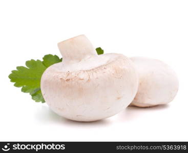 Champignon mushroom and parsley leaves isolated on white background