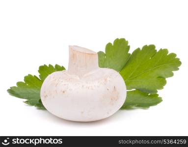Champignon mushroom and parsley leaves isolated on white background