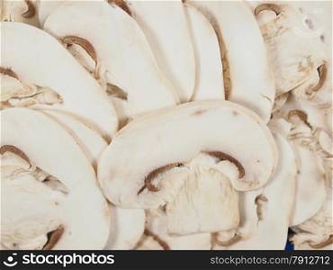 Champignon mushroom background. Agaricus bisporus aka champignons mushrooms useful as a background