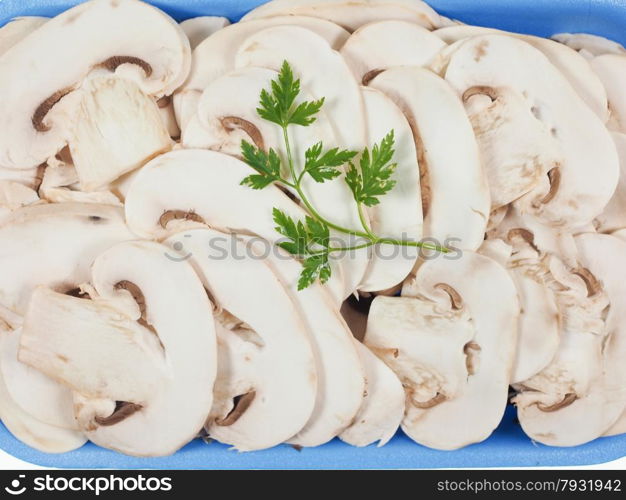 Champignon mushroom background. Agaricus bisporus aka champignons mushrooms useful as a background