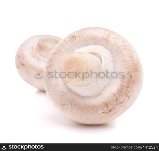 Champignon mushroom isolated on white background