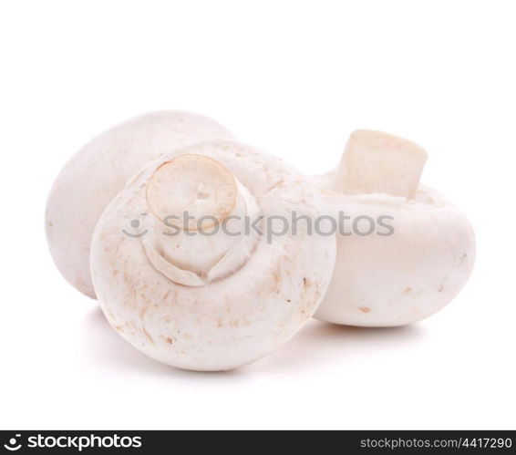 Champignon mushroom isolated on white background