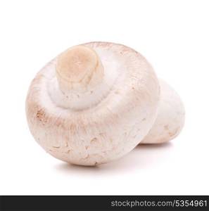 Champignon mushroom isolated on white background