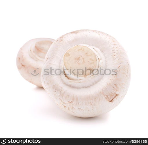 Champignon mushroom isolated on white background