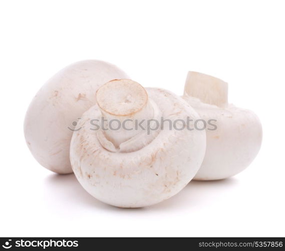 Champignon mushroom isolated on white background