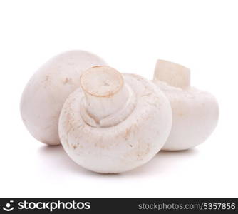 Champignon mushroom isolated on white background