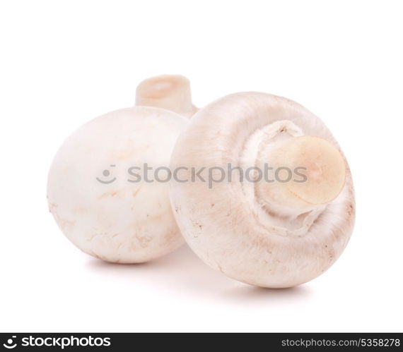 Champignon mushroom isolated on white background