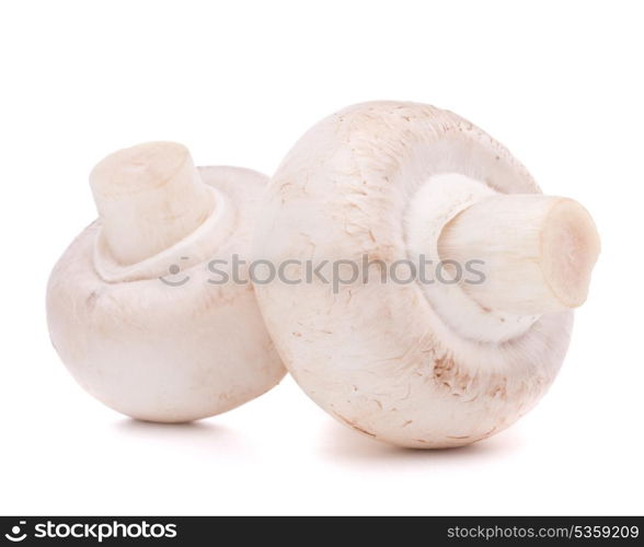 Champignon mushroom isolated on white background