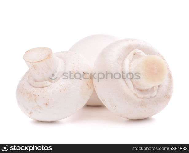 Champignon mushroom isolated on white background