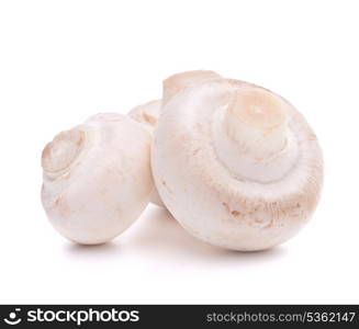 Champignon mushroom isolated on white background