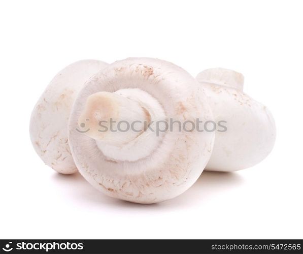 Champignon mushroom isolated on white background