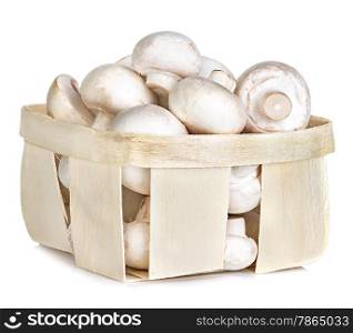 Champignon mushrooms in basket