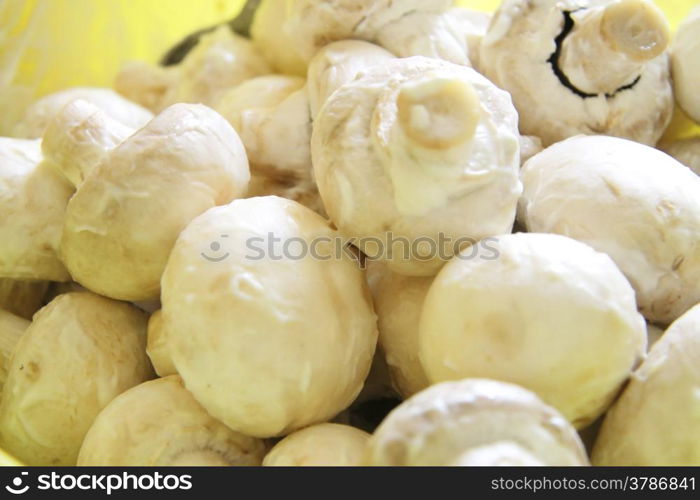 Champignon mushrooms in marinade ready for cooking