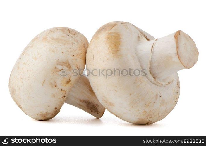 Champignon mushrooms on white background.