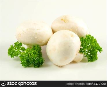 Champignon with parsley. Champignon mushroom with parsley, isolated towards white background