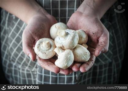 champignons in the hands of stained earth