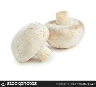 champignons isolated