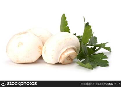 Champignons isolated on white background