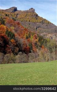 Changing colors in the Alps during early Fall; Italy.