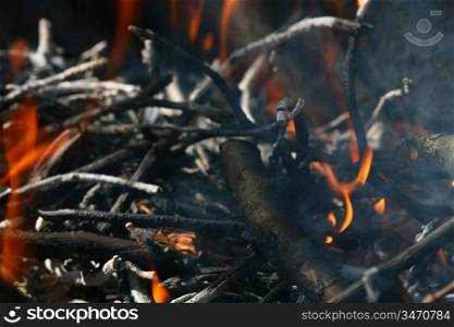 charcoals fire macro close up