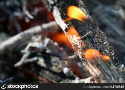 charcoals fire macro close up
