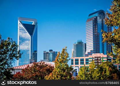 charlotte city skyline from marshall park autumn season with blue sky