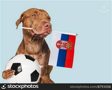 Charming, adorable puppy, holding national Flag of Slovakia and soccer ball. Preparation for the tournament. Closeup, indoors. Studio photo. Concept of care and obedience training pet. Charming puppy, holding national Flag of Slovakia