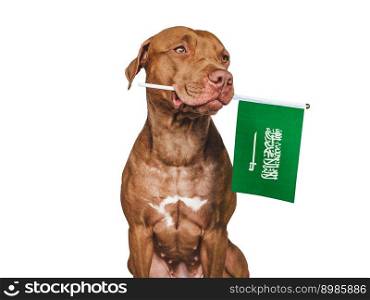 Charming, adorable puppy with the flag of Saudi Arabia. Closeup, indoors. Studio shot. Congratulations for family, loved ones, relatives, friends and colleagues. Pet care concept. Puppy with the flag of Saudi Arabia